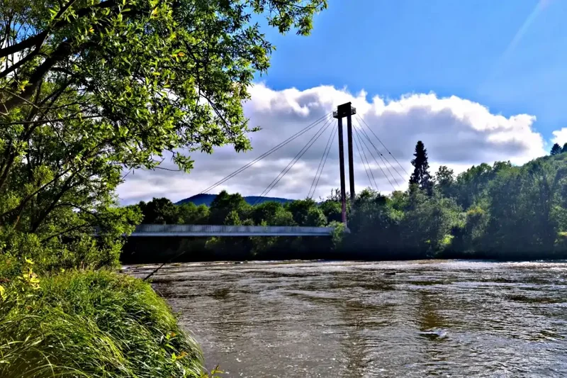 Obrazek do pytania - Jesteś w stanie wskazać miejsce, w którym znajduje się unikatowa stalowo-drewniana kładka nad Sanem, wspierana przez jeden pylon, którą zbudowano dzięki zaangażowaniu harcerzy w 1977 roku?