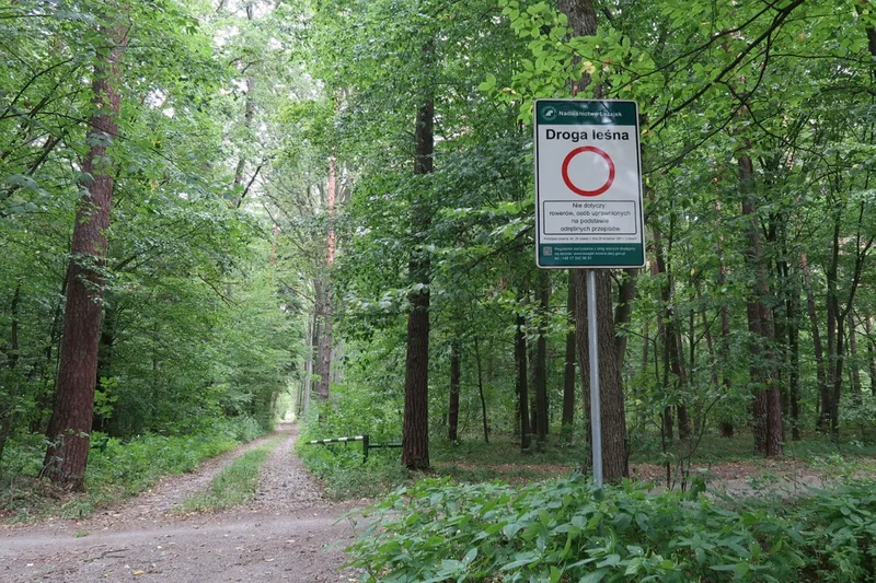 Obrazek do pytania - Do kogo należał dawniej teren dzisiejszego Lasu Klasztornego?