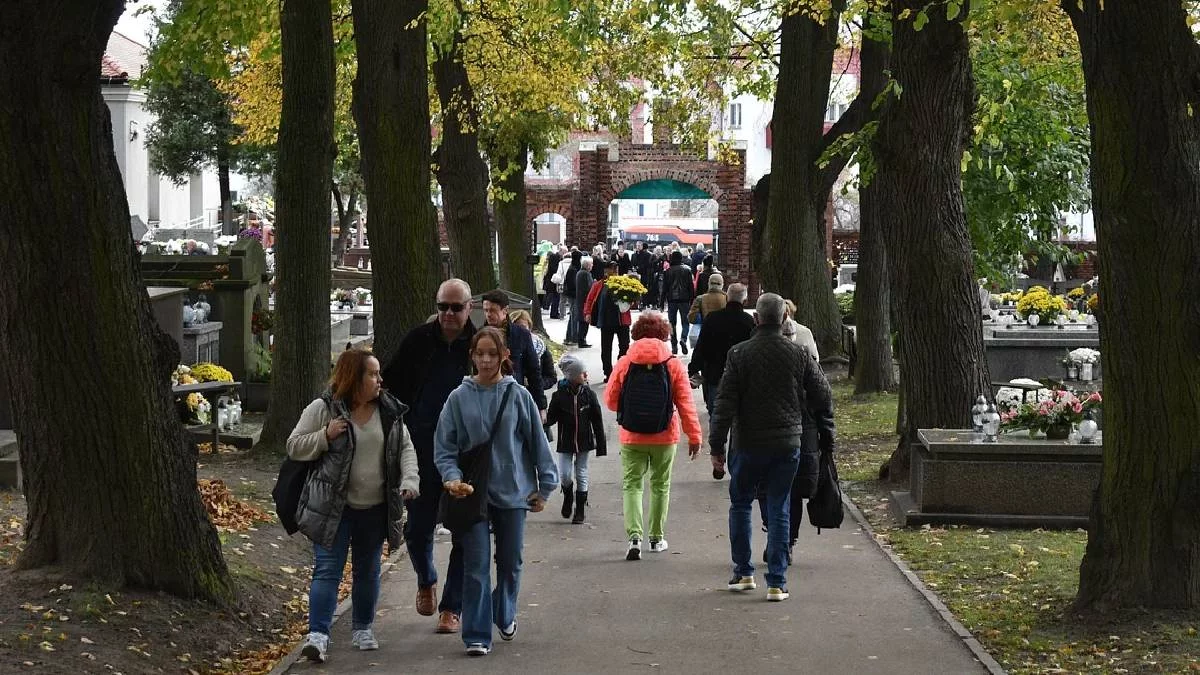 Od czwartku zmiana organizacji ruchu przy cmentarzach w Rzeszowie - Zdjęcie główne