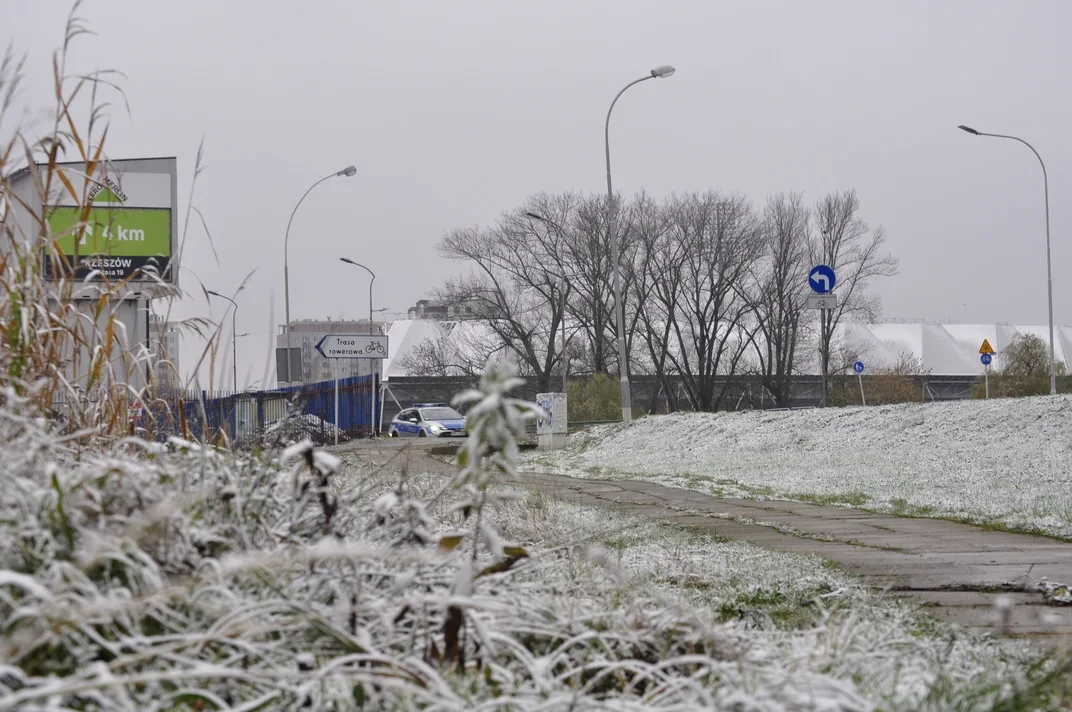 Pogoda Rzeszów. Czy w weekend spadnie śnieg? Jaka będzie temperatura? - Zdjęcie główne