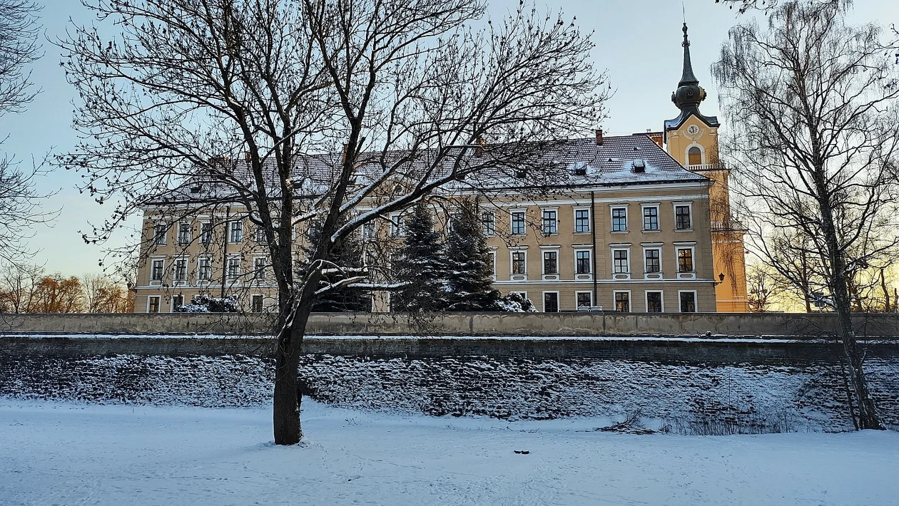 Zima i duży mróz w Rzeszowie. Jak wygląda biała stolica Podkarpacia? [ZDJĘCIA] - Zdjęcie główne