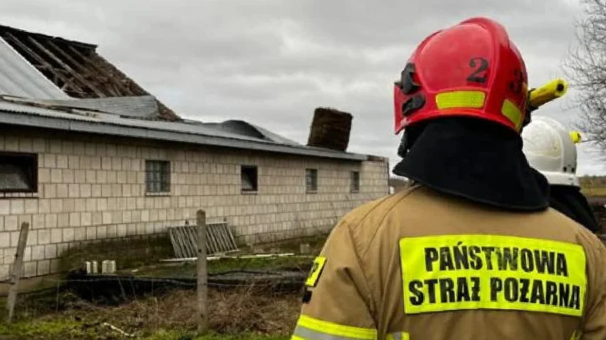 Straż pożarna w Rzeszowie podsumowała wakacje. Blisko 10 tys. wyjazdów - Zdjęcie główne