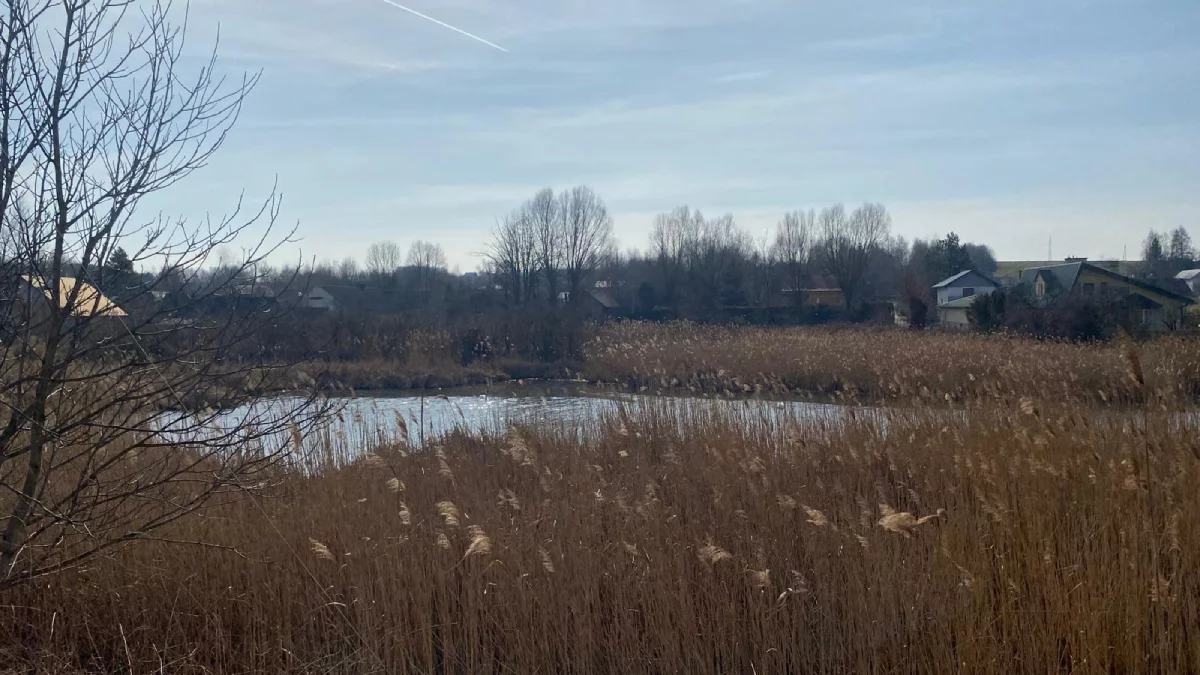 Nowa plaża miejska pod Rzeszowem. Zapomnijcie o kąpieli [ZDJĘCIA - WIDEO] - Zdjęcie główne