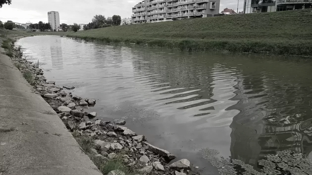 Mężczyzna, którego porwał nurt Wisłoka dalej nie odnaleziony. Wznowiono poszukiwania - Zdjęcie główne