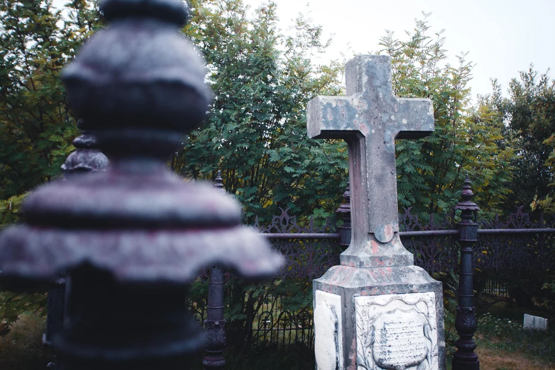 Aleja Zasłużonych na cmentarzu komunalnym Wilkowyja w Rzeszowie - kto został tam pochowany? - Zdjęcie główne
