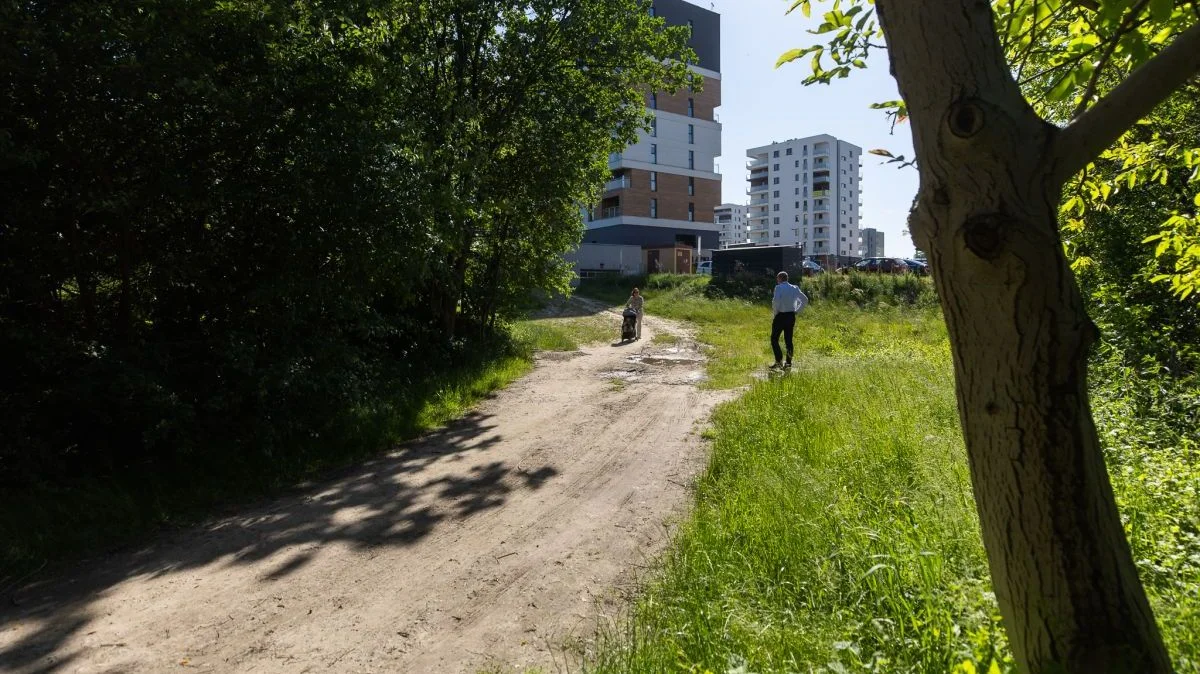 Ważna inwestycja drogowa na osiedlu Kotuli w Rzeszowie. Czy to będzie rozwiązanie na korki? - Zdjęcie główne