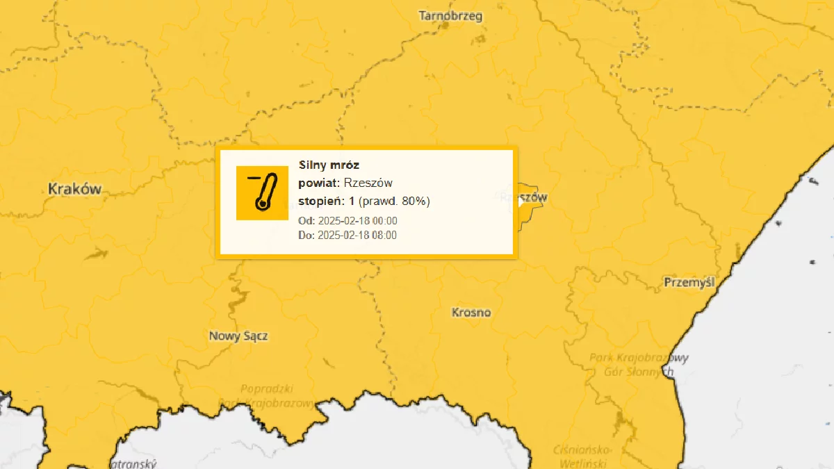 Przed nami prawdziwe mrozy! IMGW ostrzega Rzeszów i powiat rzeszowski. Nawet -15°C - Zdjęcie główne