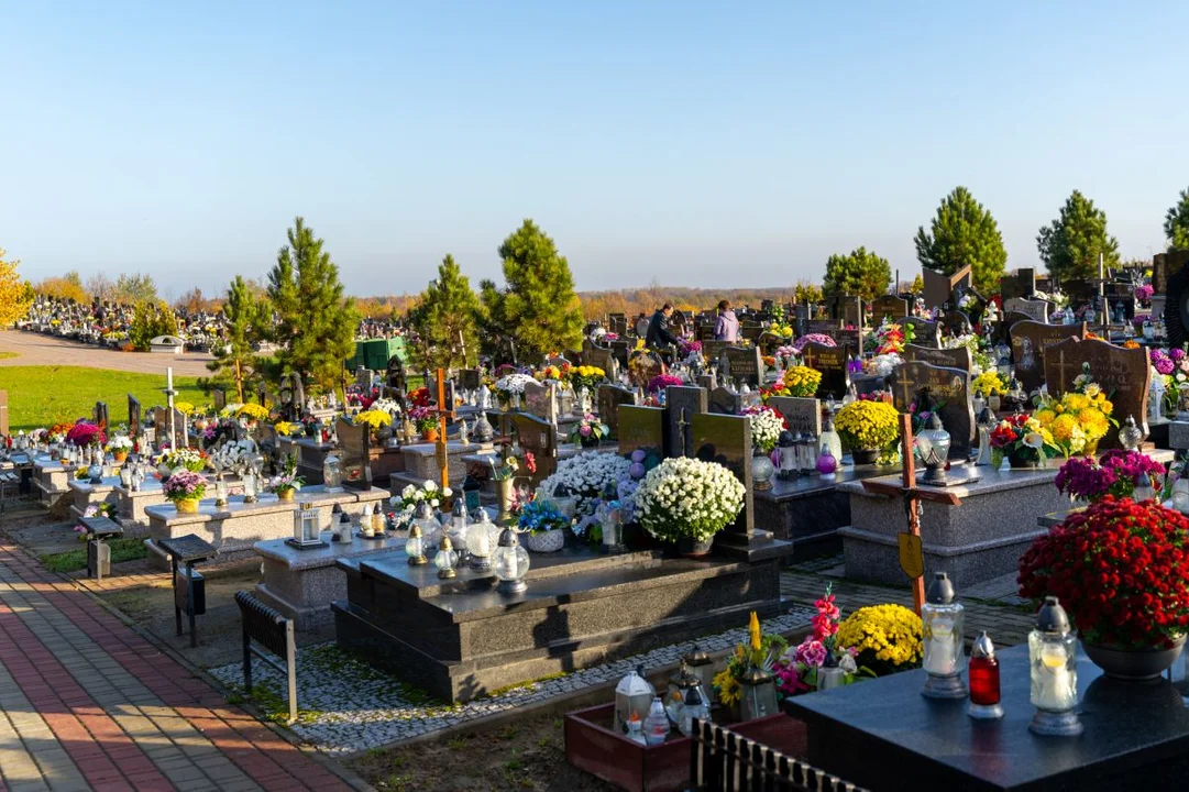Na cmentarzach w Rzeszowie będzie więcej miejsc na pochówek - Zdjęcie główne
