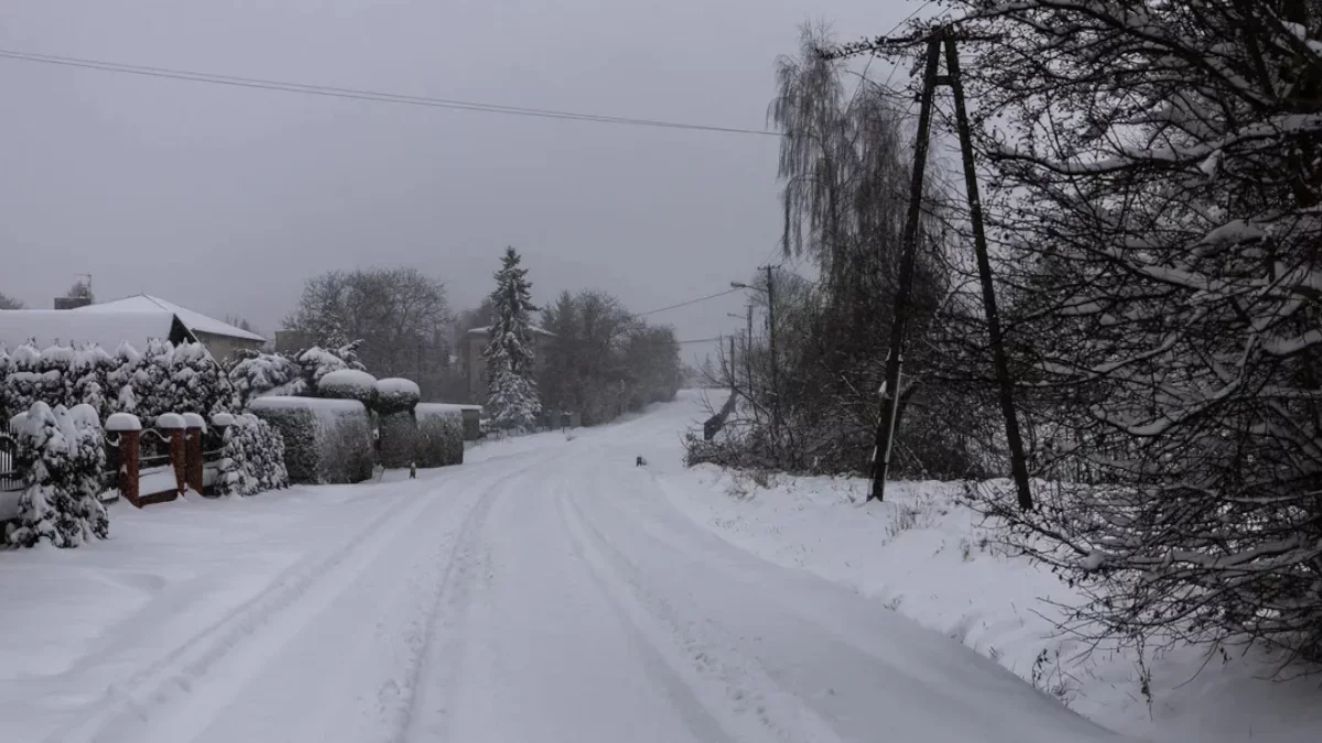 Kiedy pierwszy śnieg w Rzeszowie? Te prognozy mogą cię zaskoczyć - Zdjęcie główne