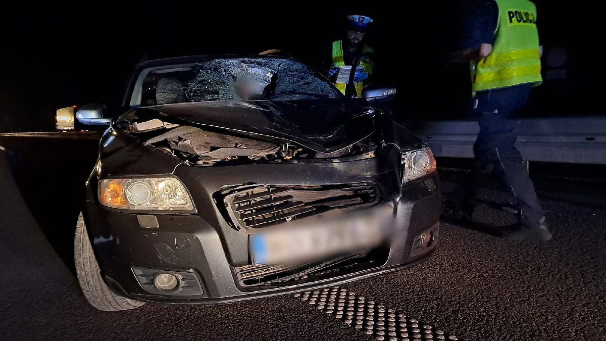 Tragiczny wypadek na trasie Lublin-Rzeszów. Pieszy szedł drogą ekspresową, zginął na miejscu [ZDJĘCIA] - Zdjęcie główne