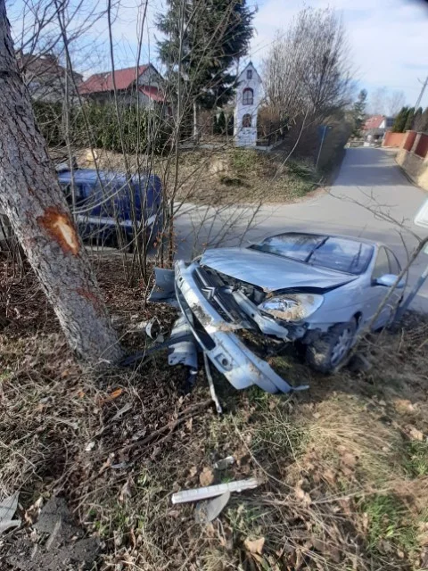 Ucieczkę zakończył na drzewie. Wcześniej spowodował dwie kolizje - Zdjęcie główne