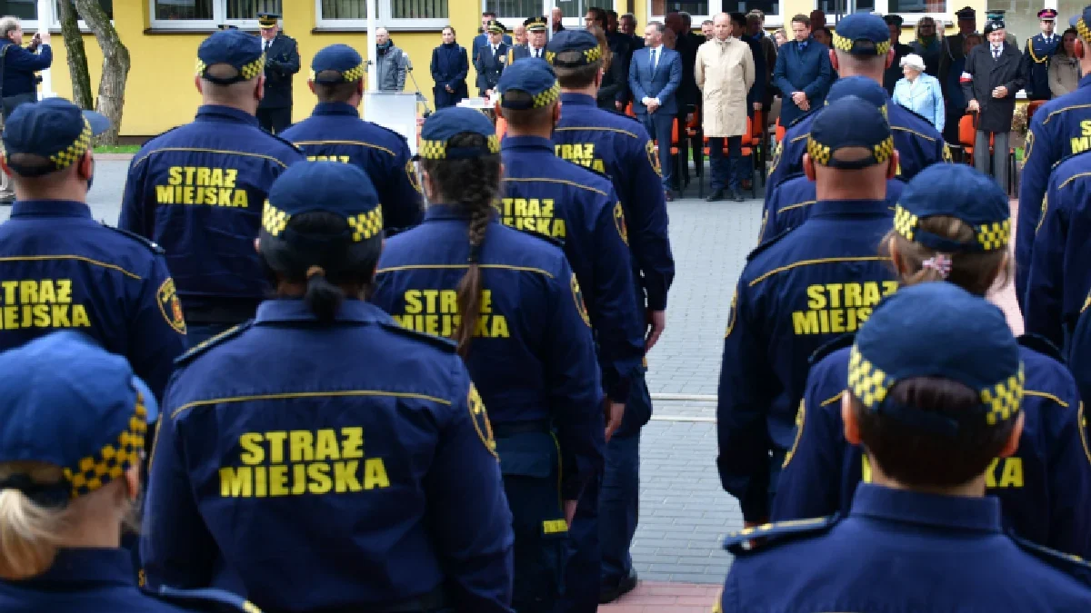 Patrol interwencyjny dla zwierząt w Rzeszowie? Czy powstanie taka jednostka w naszym mieście? - Zdjęcie główne