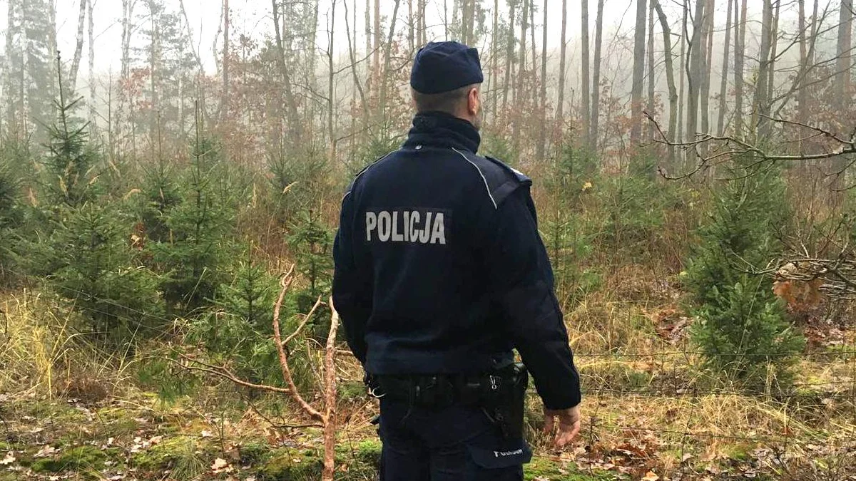 Policjanci odnaleźli 84-letniego mieszkańca Bud Głogowskich. Spał pod gołym niebem - Zdjęcie główne