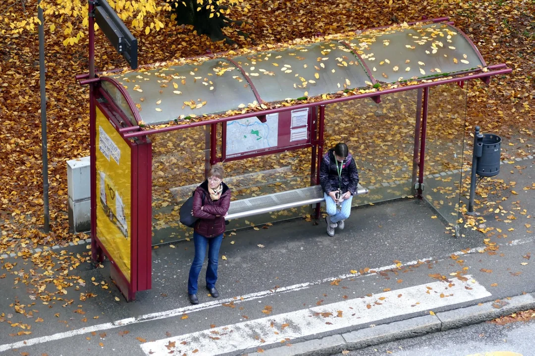 Miasto Rzeszów rusza z czyszczeniem przystanków. Kiedy rozpoczną się prace? - Zdjęcie główne