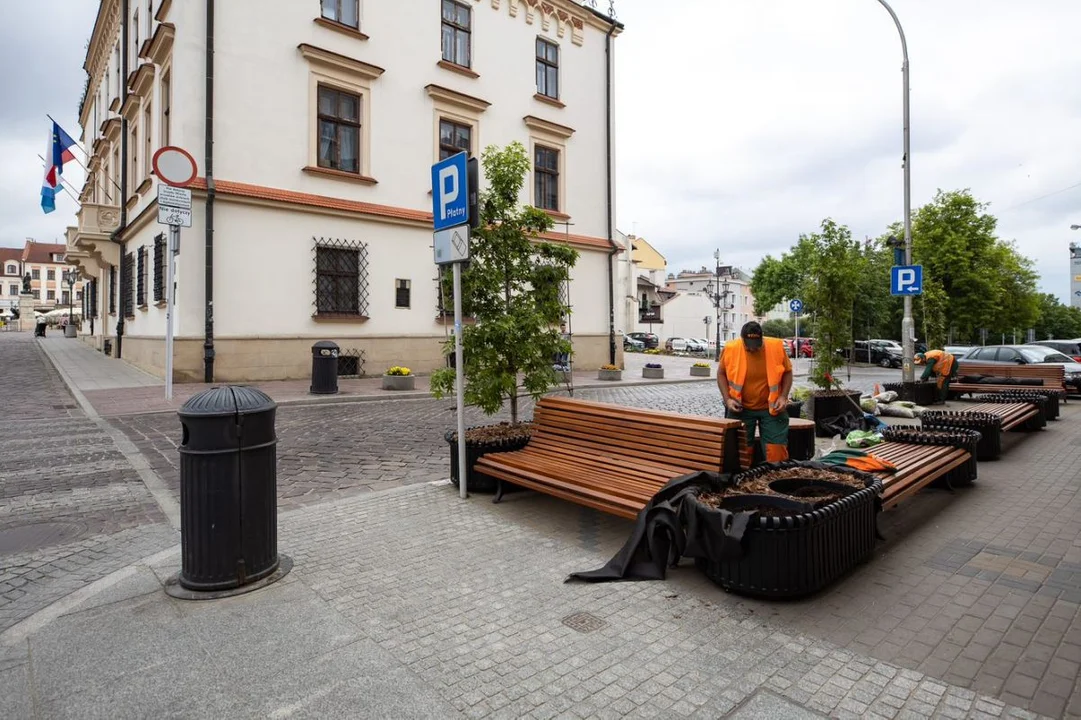 Mniej samochodów i więcej zieleni na ulicy Słowackiego - Zdjęcie główne