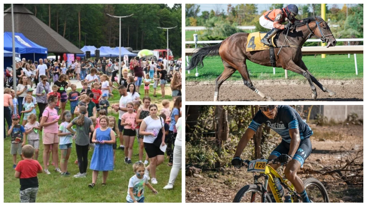 Mnóstwo atrakcji w gminie Głogów Małopolski w ten weekend! W planach piknik, biesiada i zawody gravelowe - Zdjęcie główne