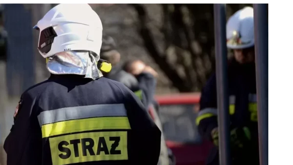 Z ostatniej chwili! Pożar piekarni w Markowej. Trwa akcja gaśnicza - Zdjęcie główne