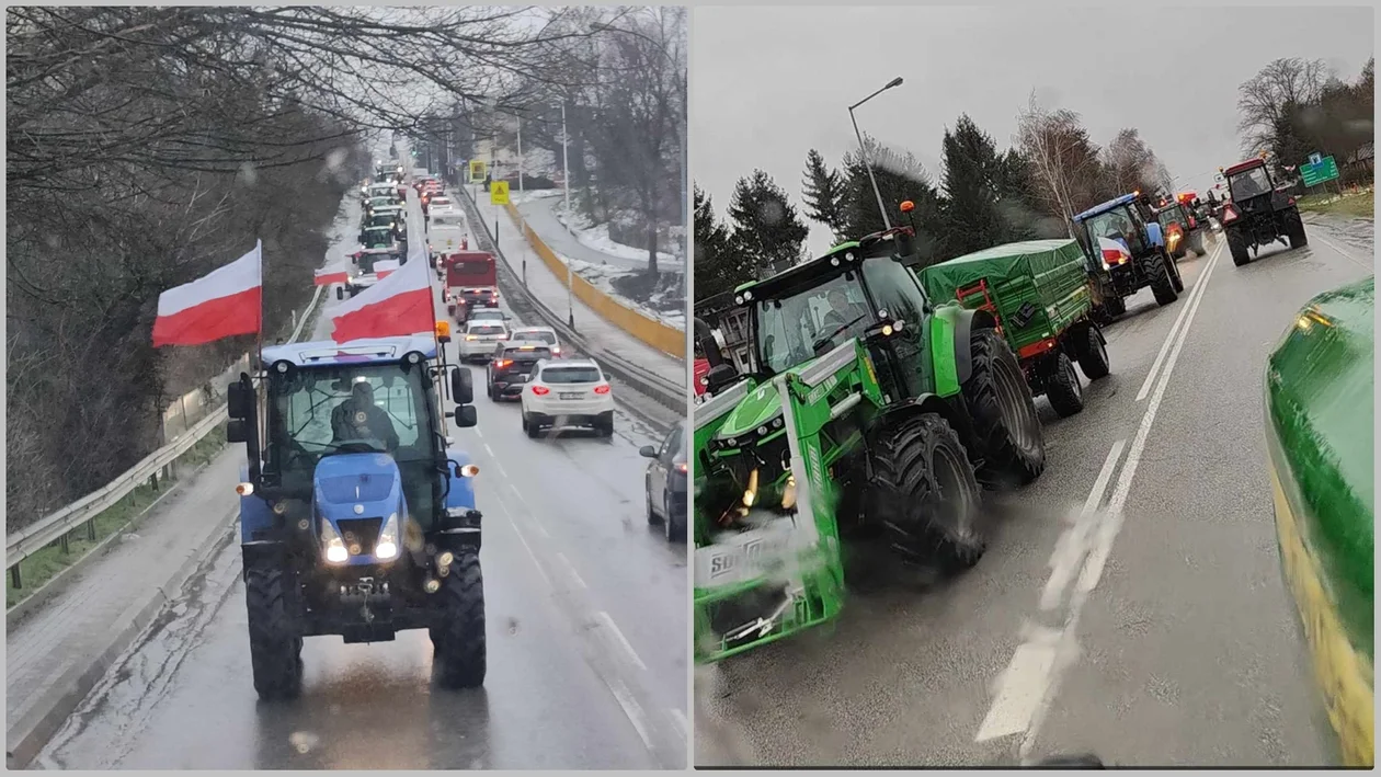 Rolnicy z Podkarpacia też protestowali. Jak wyglądała akcja na drogach w Jarosławiu? [ZDJĘCIA] - Zdjęcie główne