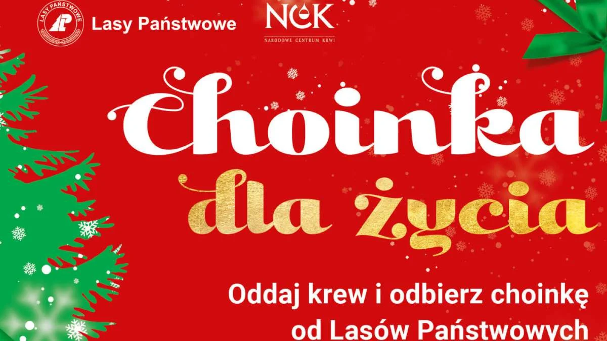 Akcja "Choinka dla życia". W zamian za oddanie krwi otrzymasz naturalną choinkę od Lasów Państwowych - Zdjęcie główne