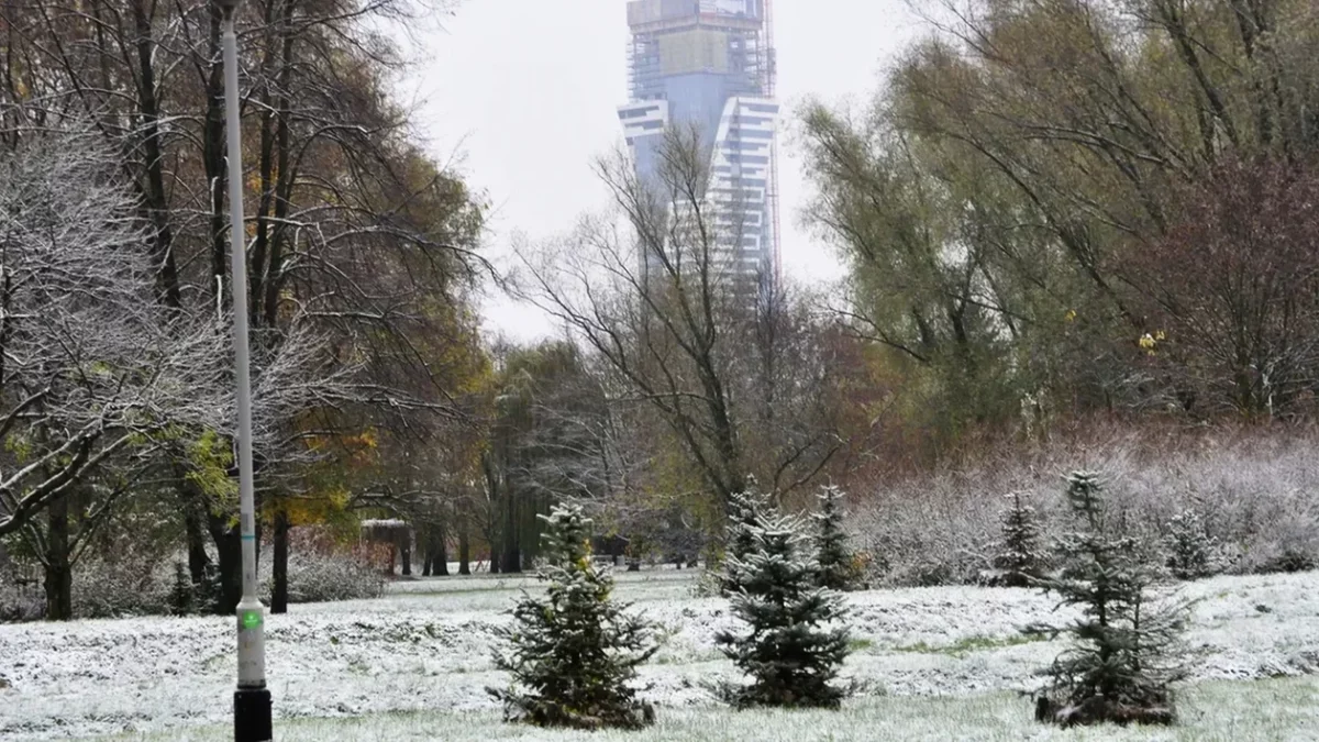 Zacznie się już w listopadzie! Kiedy zobaczymy pierwszy śnieg w Rzeszowie? - Zdjęcie główne