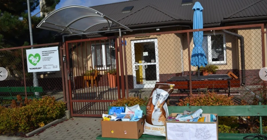 Schronisko Kundelek w Rzeszowie przejmie bezdomne zwierzęta z gminy Pilzno - Zdjęcie główne