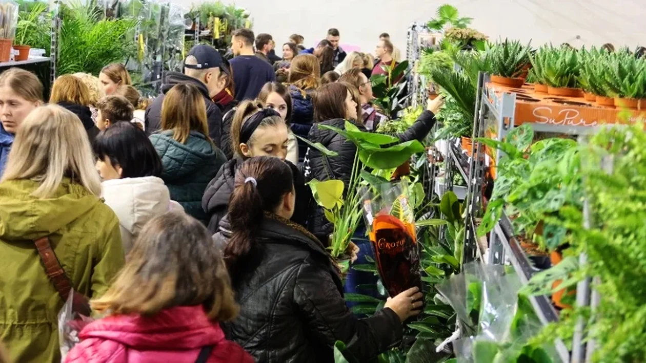 Festiwal Roślin w Rzeszowie już wkrótce. Na poprzedniej edycji pojawiły się tłumy! - Zdjęcie główne