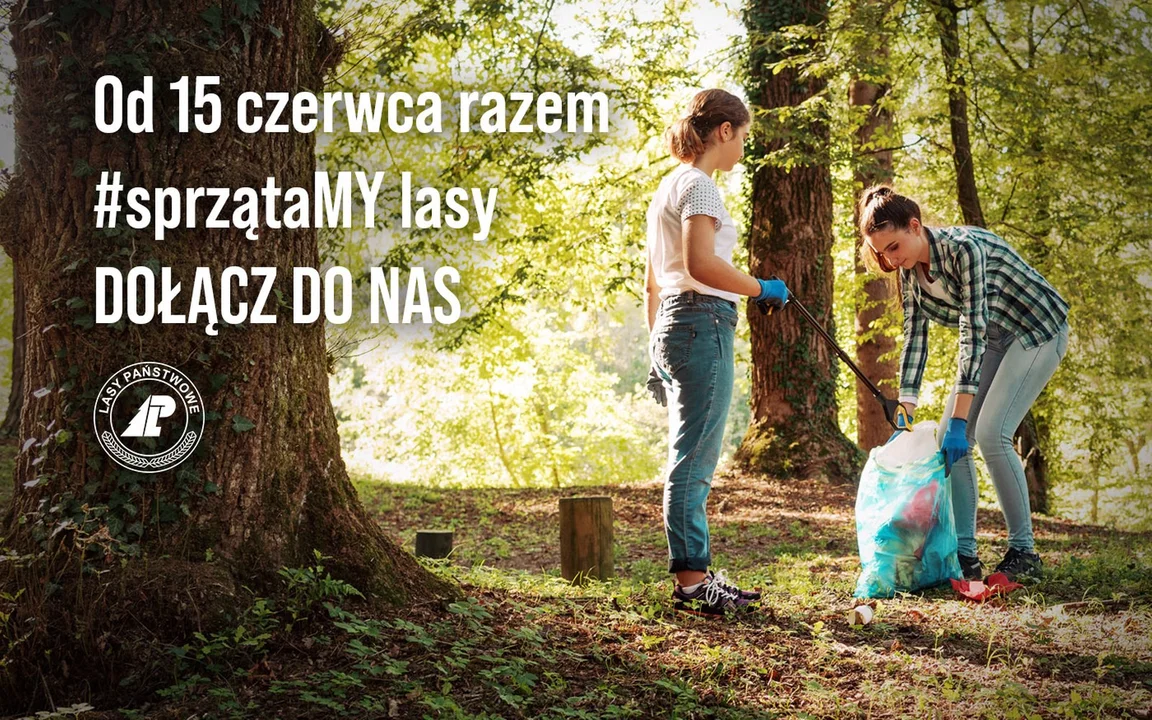 #SprzątaMy 2022 w polskich lasach. Przyłącz się do ogólnokrajowej akcji w Głogowie Małopolskim - Zdjęcie główne
