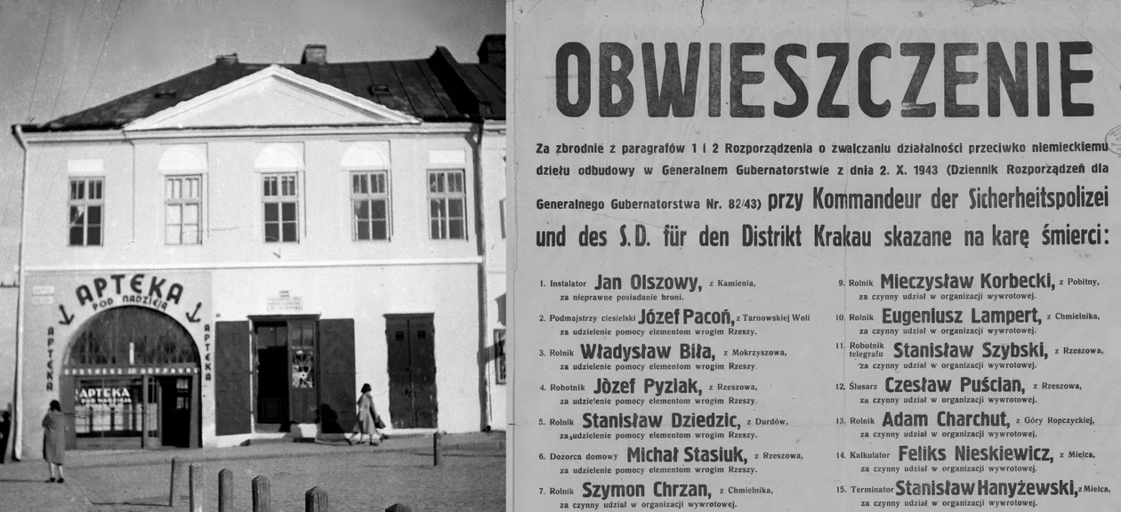 (Nie)znana historia rzeszowskich piwnic z czasów Holokaustu. Spacer ulicami Rzeszowa z Rzeszowskimi Piwnicami - Zdjęcie główne