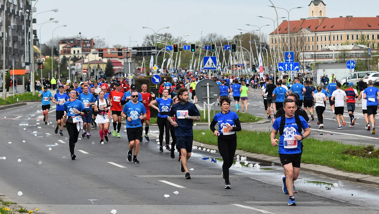 17. PKO Półmaraton Rzeszowski. Ponad 1800 biegaczy na starcie, a najlepsi Kenijczycy [ZDJĘCIA] - Zdjęcie główne