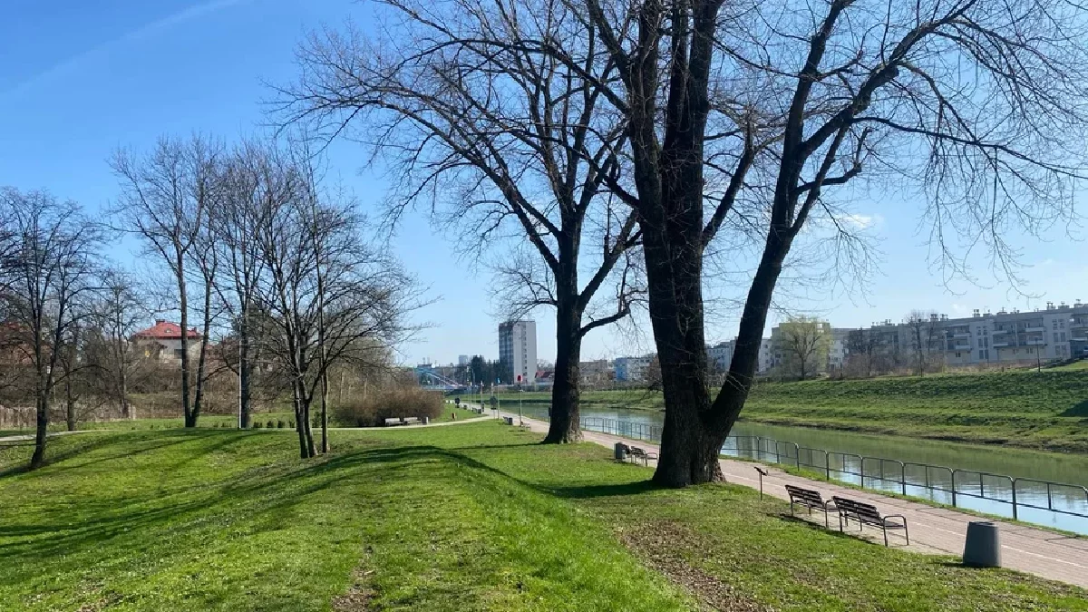 Bliżej weekendu w Rzeszowie poczujemy wiosnę. Na termometrach nawet 17°C - Zdjęcie główne