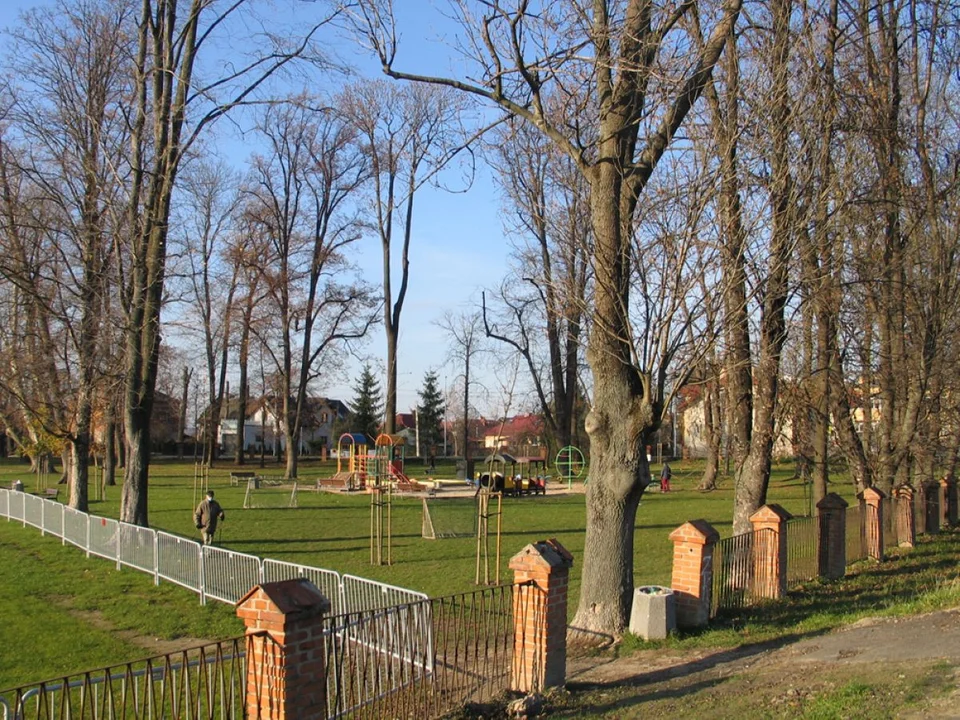 Park na Zalesiu zyskuje całkiem nowe oblicze. Dodano nowe alejki, wiele drzew i wyposażono plac zabaw - Zdjęcie główne