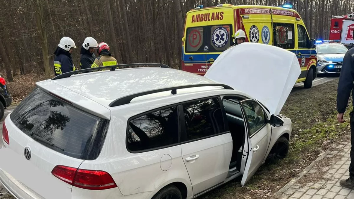 Groźny incydent na drodze. Samochód wypadł z trasy [ZDJĘCIA] - Zdjęcie główne