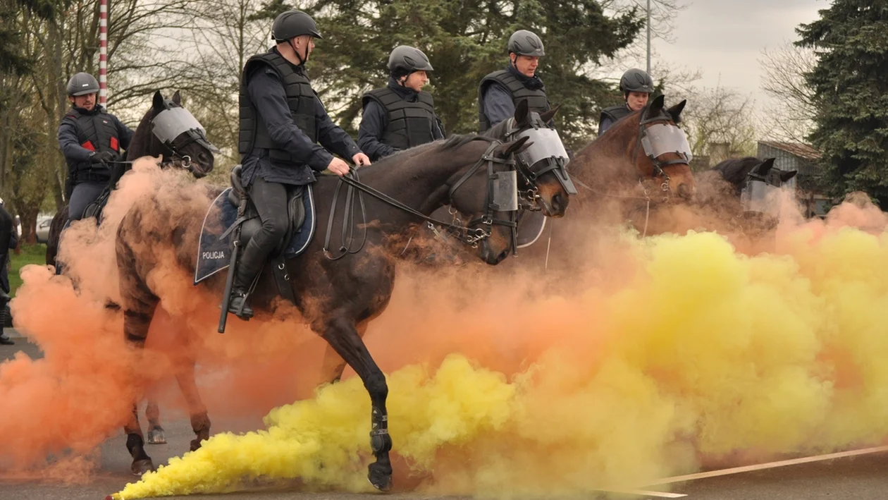 Nietypowy egzamin w podkarpackiej policji. Swoją przydatność do służby udowodniły konie [ZDJĘCIA] - Zdjęcie główne