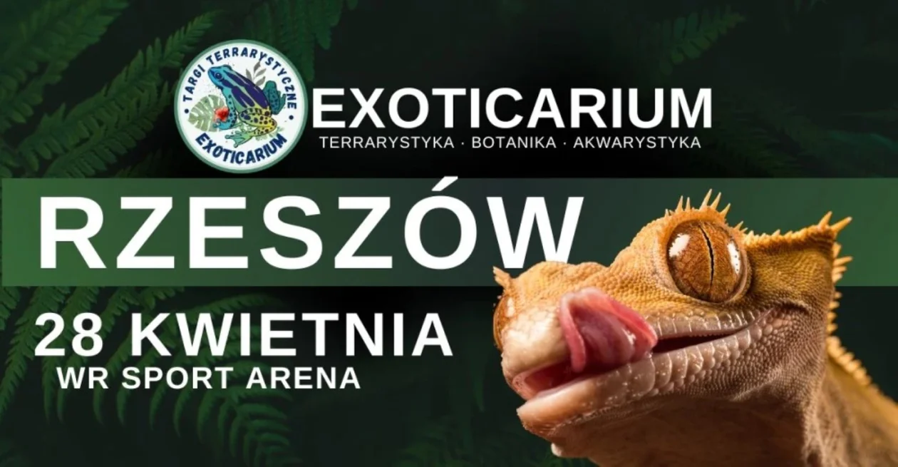 Niedzielne targi terrarystyczne Exoticarium odwołane! Zmiana daty i miejsca wydarzenia - Zdjęcie główne