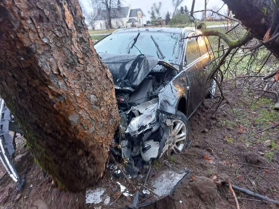 Pijany wjechał w drzewo. Był poszukiwany i nie miał prawa jazdy - Zdjęcie główne