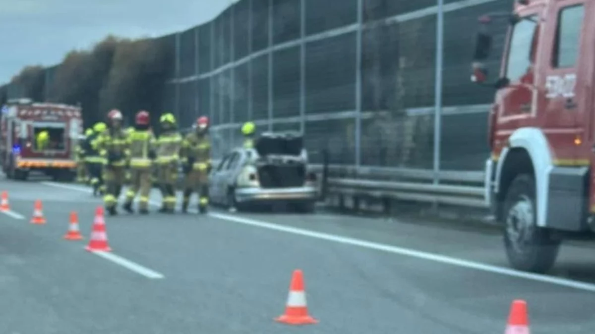 Na autostradzie A4 obok Rzeszowa spłonął samochód - Zdjęcie główne