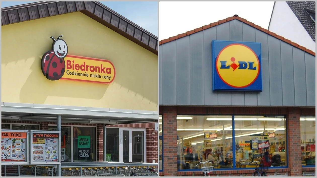 Biedronka kontra Lidl. Gdzie mniej kosztują podstawowe produkty w Rzeszowie? Sprawdzamy! - Zdjęcie główne