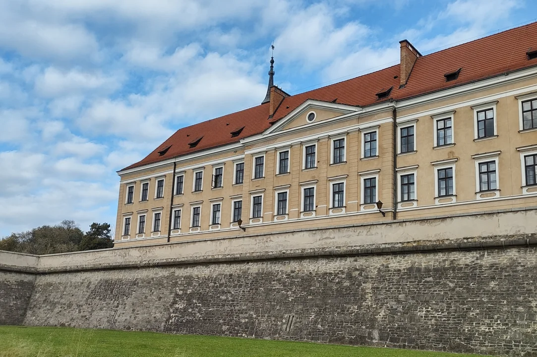 Rzeszów liderem rankingu „Indeks Zdrowych Miast” w dwóch kategoriach. W czym najlepsza jest stolica Podkarpacia? - Zdjęcie główne