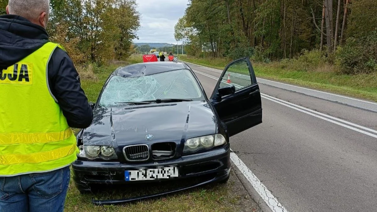 Śmiertelne potrącenie rowerzysty przez kierowcę BMW [ZDJĘCIA] - Zdjęcie główne