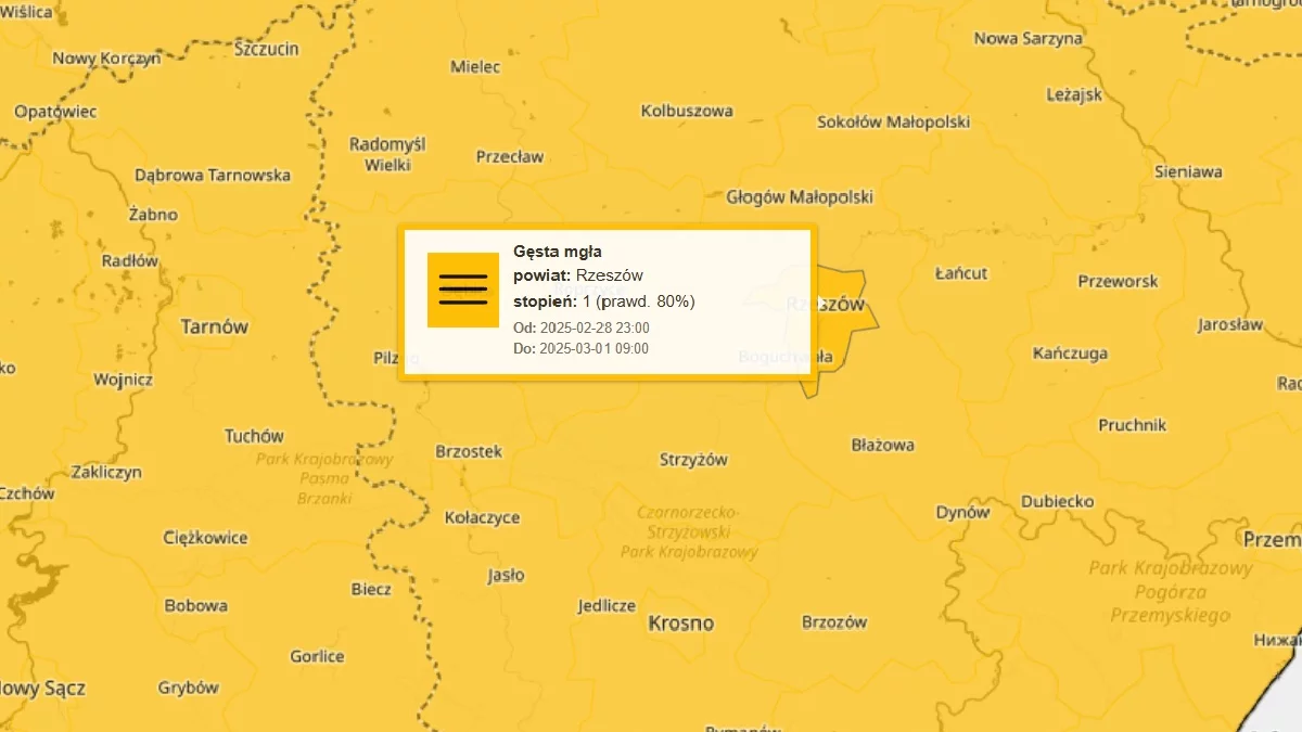 IMGW ostrzega Rzeszów i powiat rzeszowski. Widoczność będzie ograniczona - Zdjęcie główne