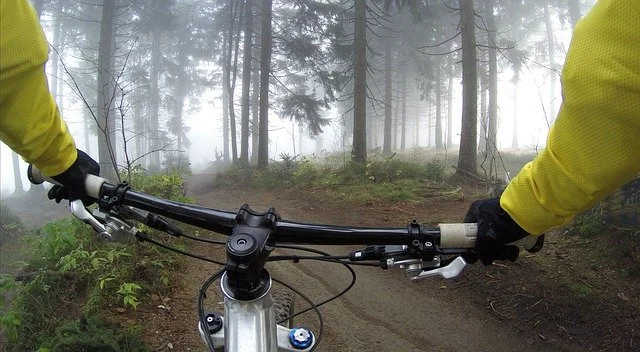 Bieszczady na rowerze. Wypożyczalnie - Zdjęcie główne