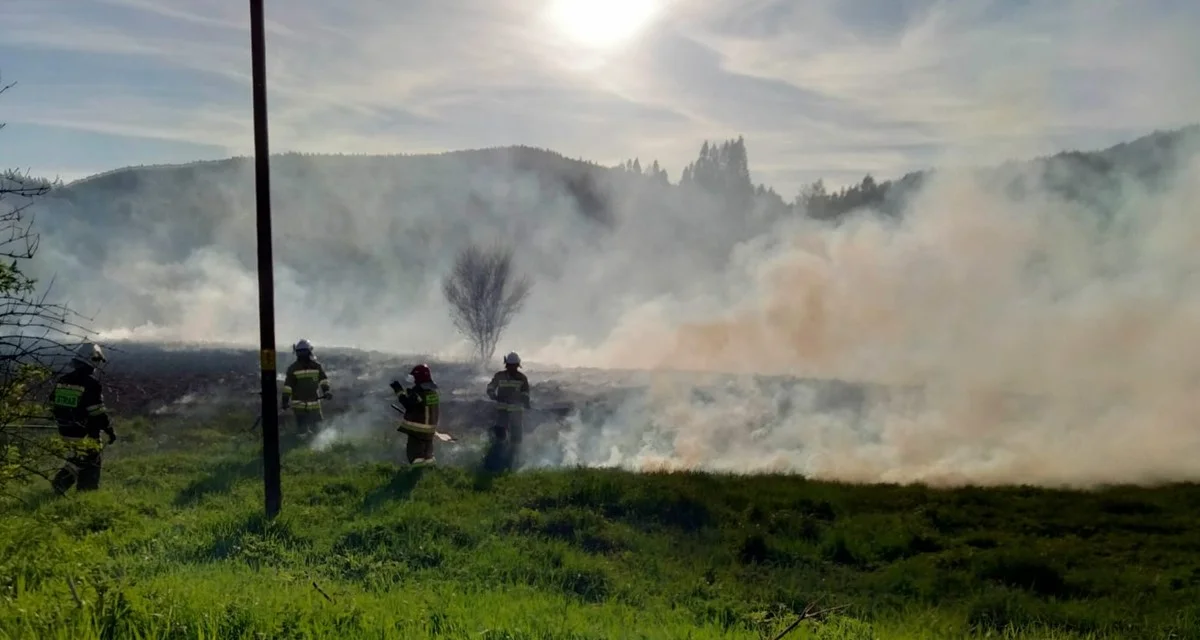 W Kalnicy spłonęło 60 arów łąki. To kolejny taki przypadek. Strażacy apelują: STOP wypalaniu traw! - Zdjęcie główne