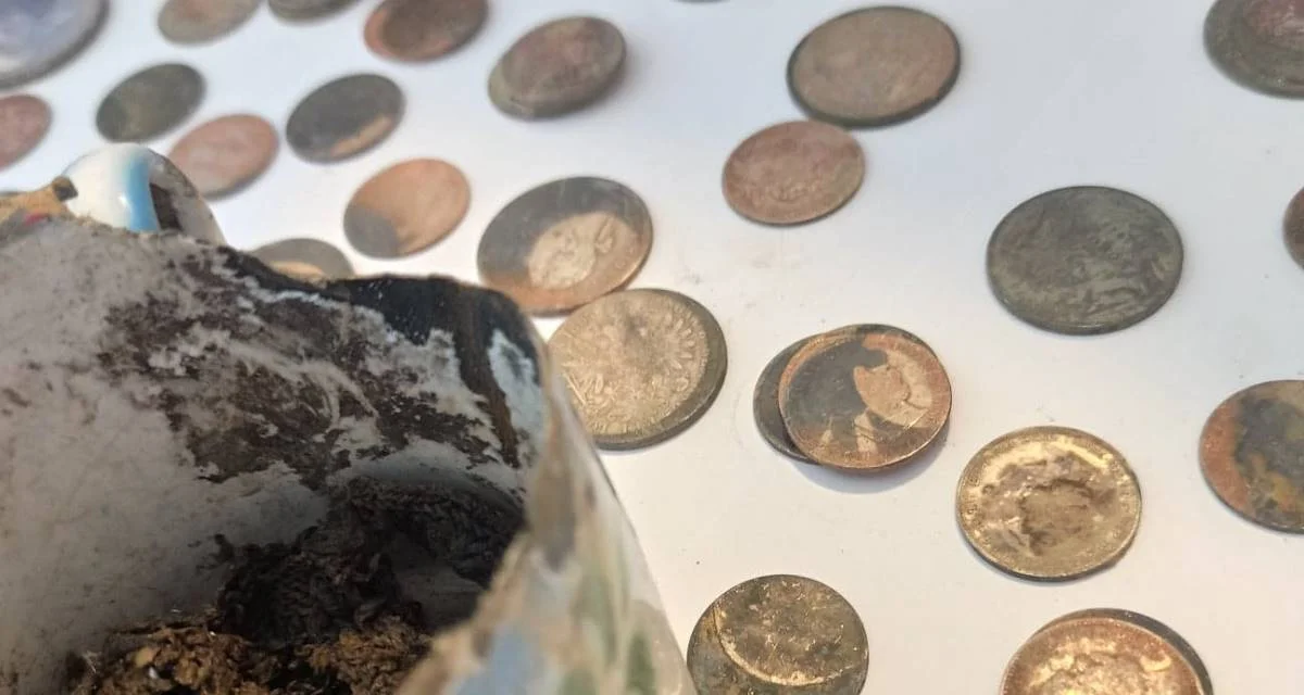 Bukowsko. Podczas prac ziemnych odkryto historyczne monety. Trafią one do muzeum w Sanoku - Zdjęcie główne