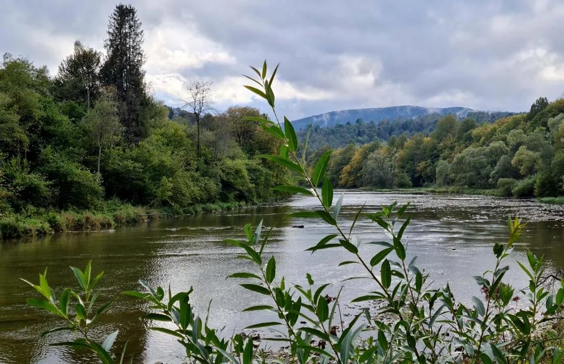 Bieszczadzki Park Narodowy edukuje. Przygotowano specjalną ofertę dla uczniów z Bieszczadów - Zdjęcie główne