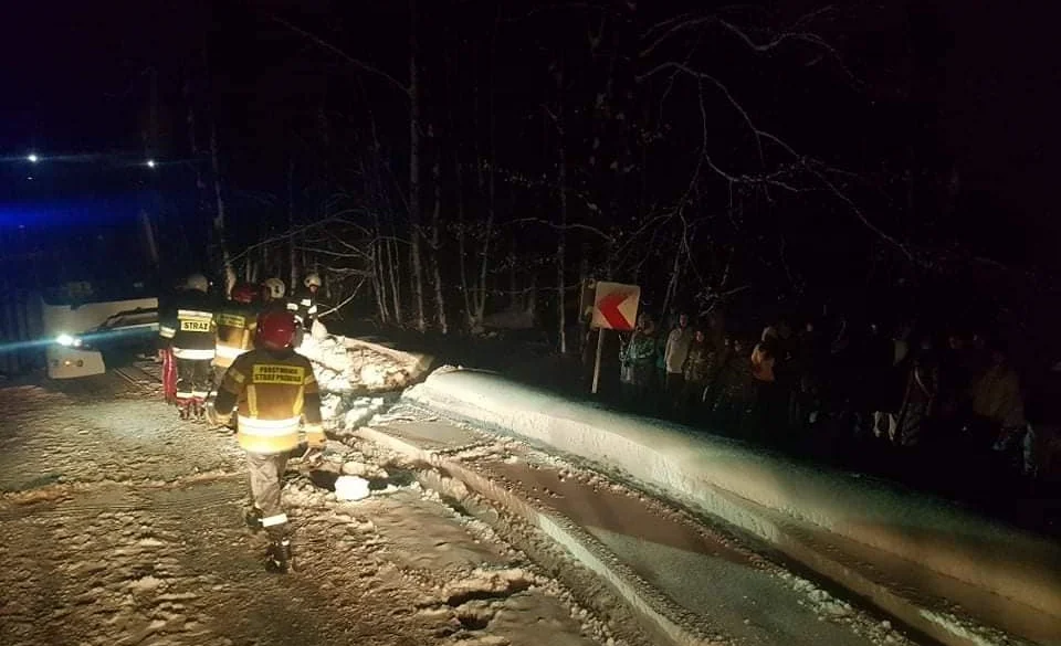 Autobus przewożący dzieci wjechał do rowu. Potrzebna była pomoc strażaków - Zdjęcie główne