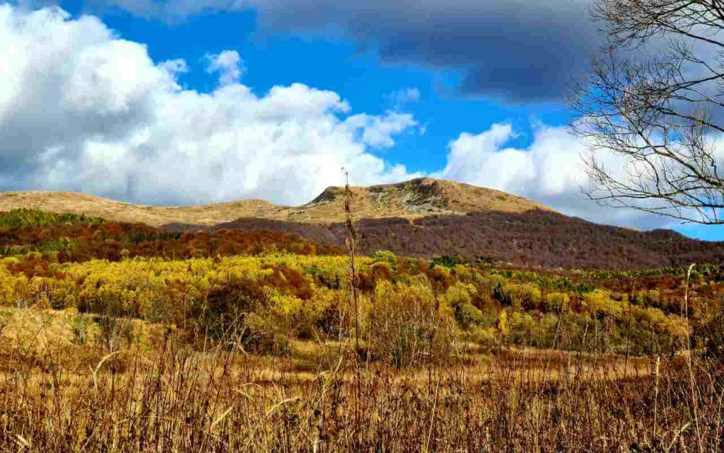 kolorowe-bieszczady-tarnica