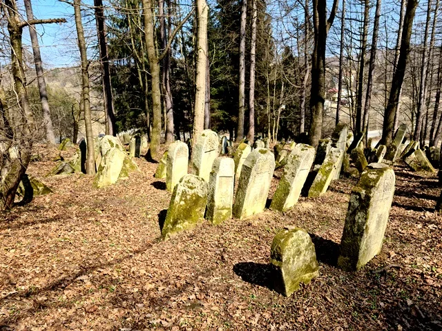 Cmentarz Żydowski w Lesku - Zdjęcie główne