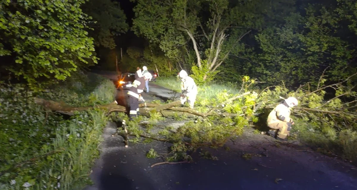 Niebezpieczne zdarzenie w Roztokach Dolnych. Spadające drzewo uszkodziło przejeżdżający samochód [ZDJĘCIA] - Zdjęcie główne