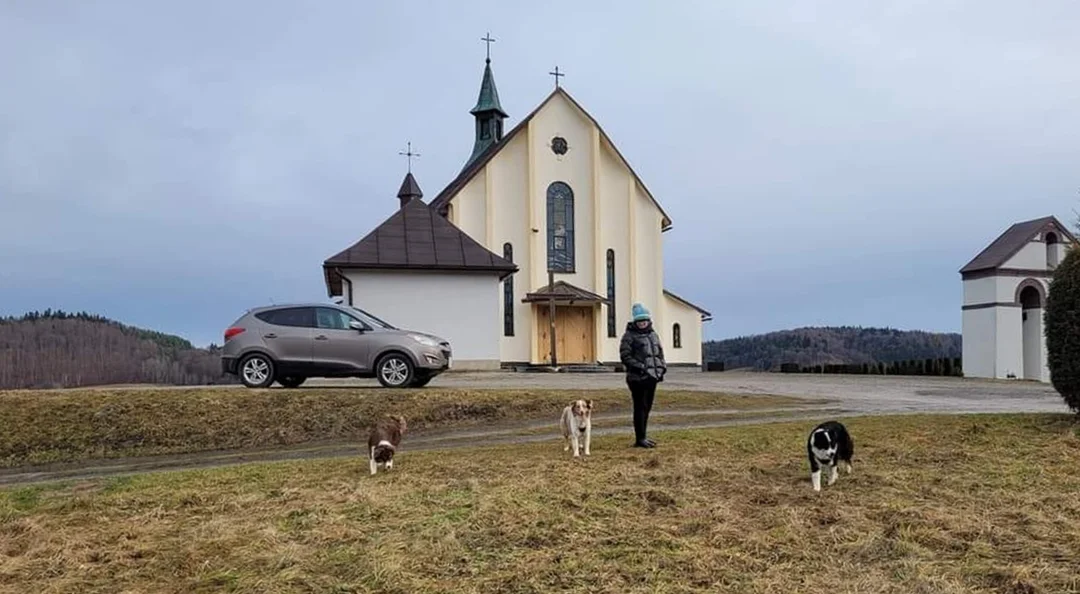 Podczas tragicznego pożaru w Bieszczadach ocalał pies Franki. Teraz trwają jego poszukiwania - Zdjęcie główne