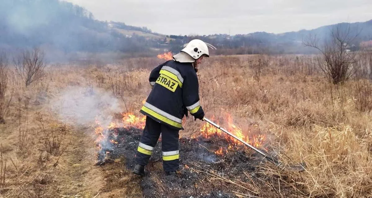 Ogień niszczy i zabija zwierzęta. Strażacy apelują: STOP wypalaniu traw! - Zdjęcie główne